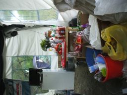 exp-zr-2009 234